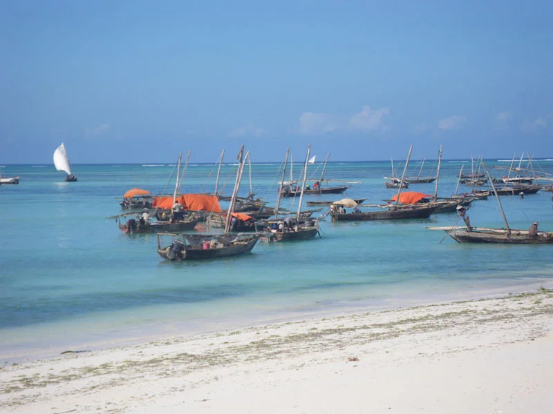 zanzibariblogresize86.jpg