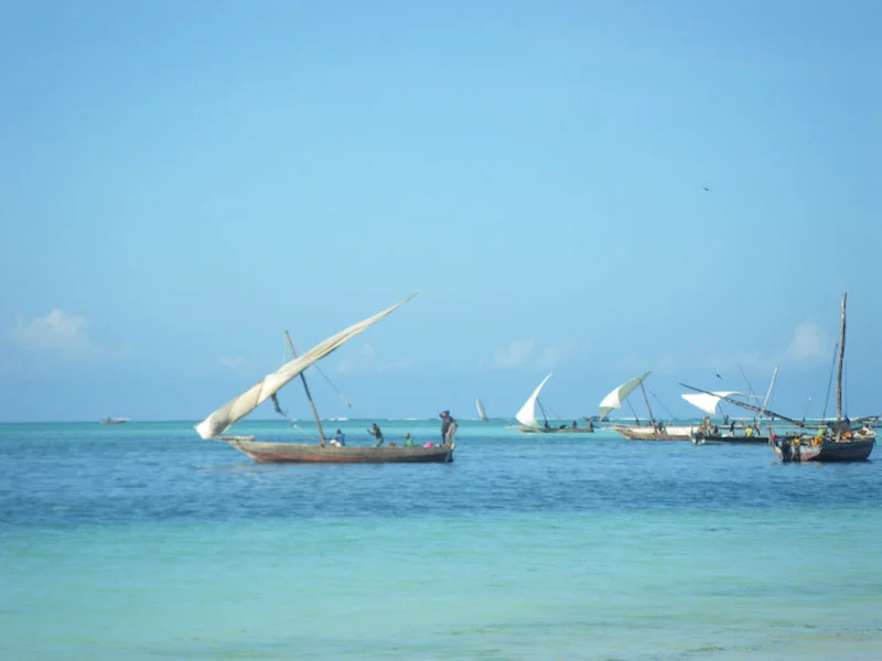zanzibariblogresize87.jpg