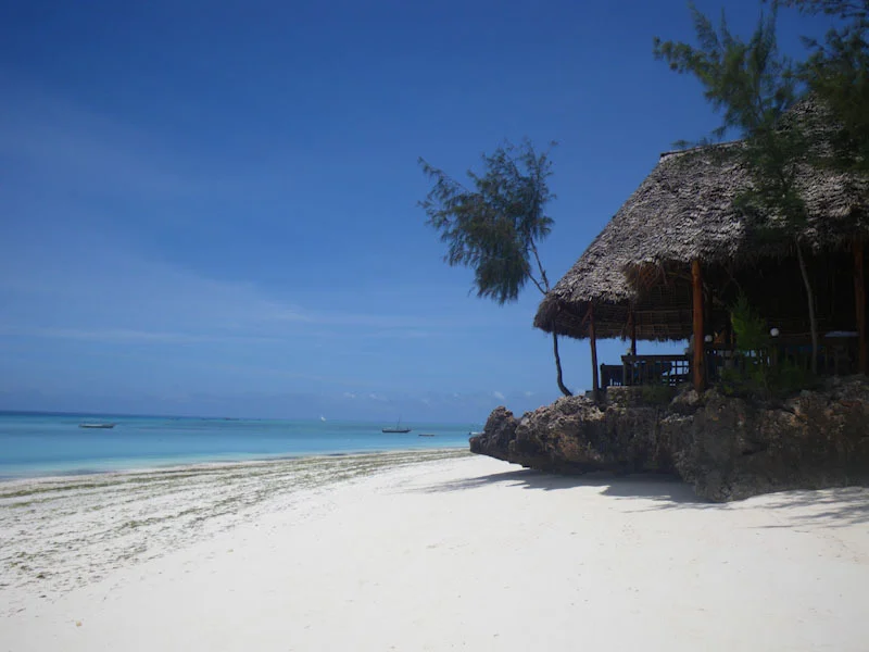 zanzibariblogresize75.jpg
