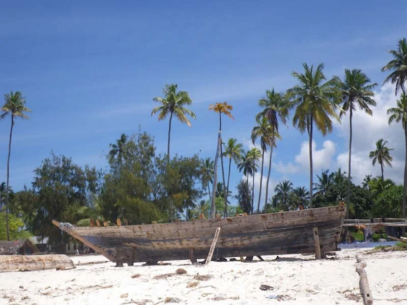 zanzibariblogresize85.jpg
