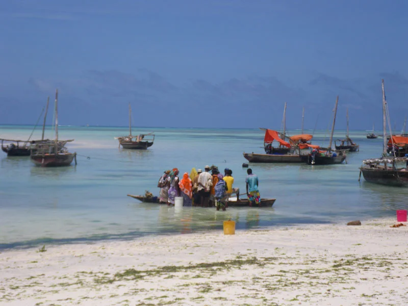 zanzibariblogresize83.jpg
