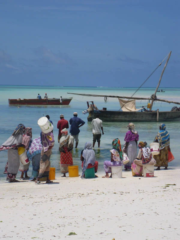 zanzibariblogresize81.jpg