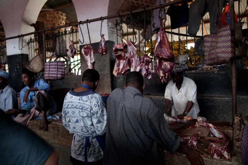 zanzibariblogresize52.jpg