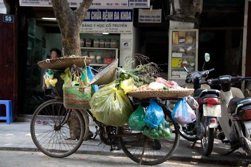 hanoihlbupload67.jpg