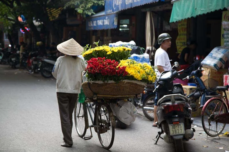 hanoihlbupload75.jpg