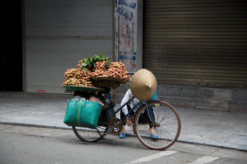 hanoihlbupload47.jpg