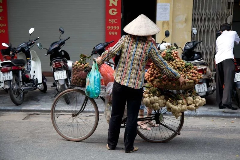 hanoihlbupload51.jpg