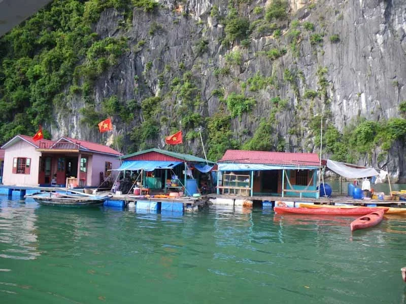 hanoihlbupload13.jpg