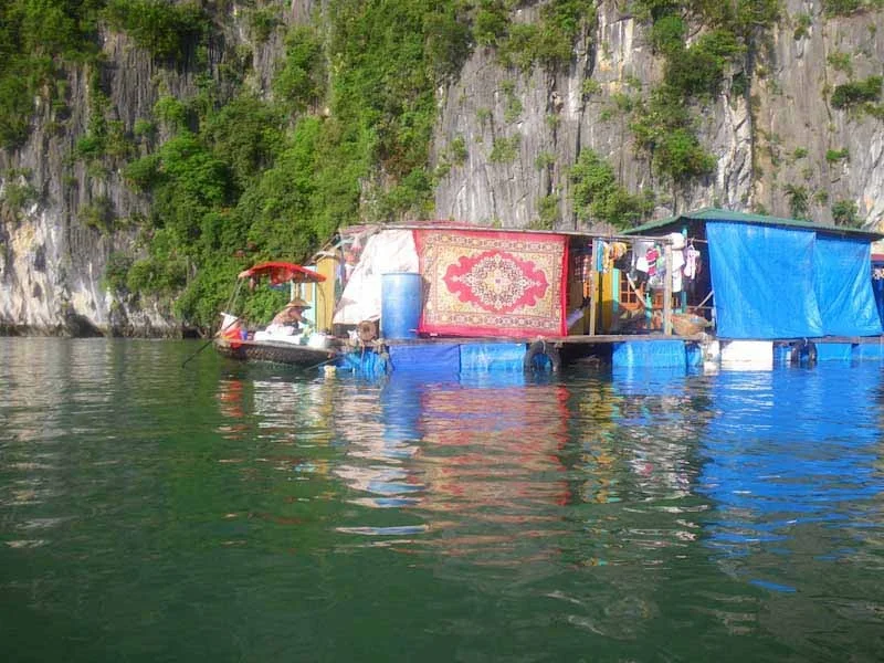 hanoihlbupload20.jpg