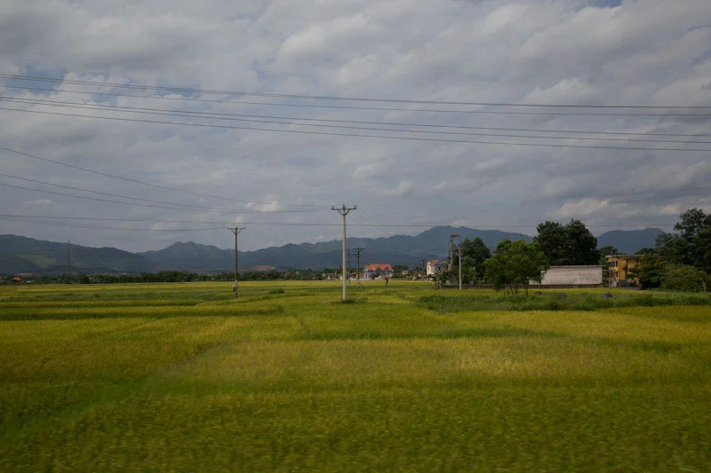 hanoihlbupload32.jpg
