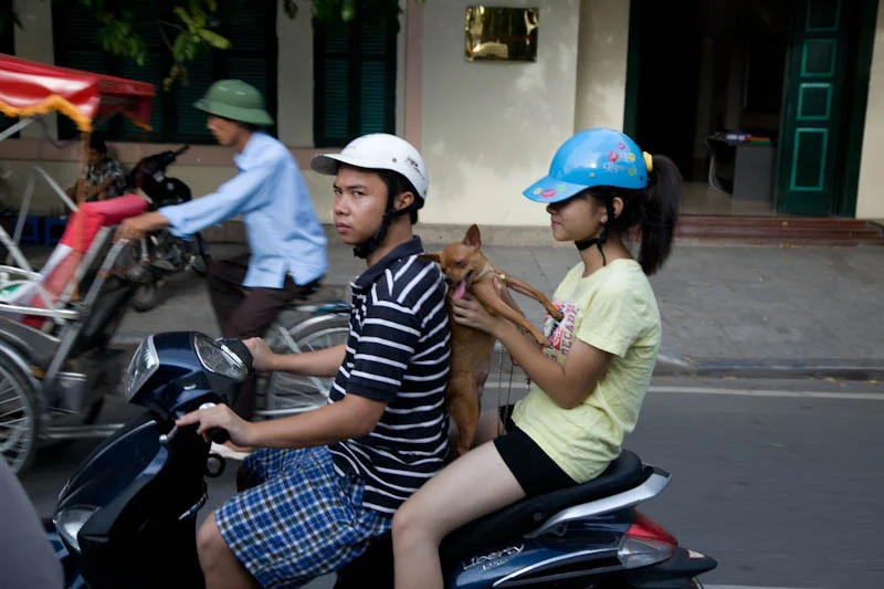 hanoihlbupload44.jpg