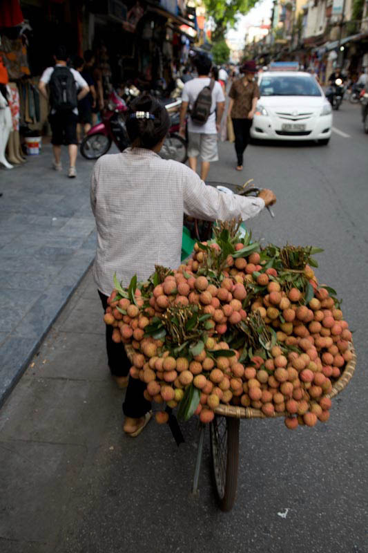 hanoihlbupload40.jpg