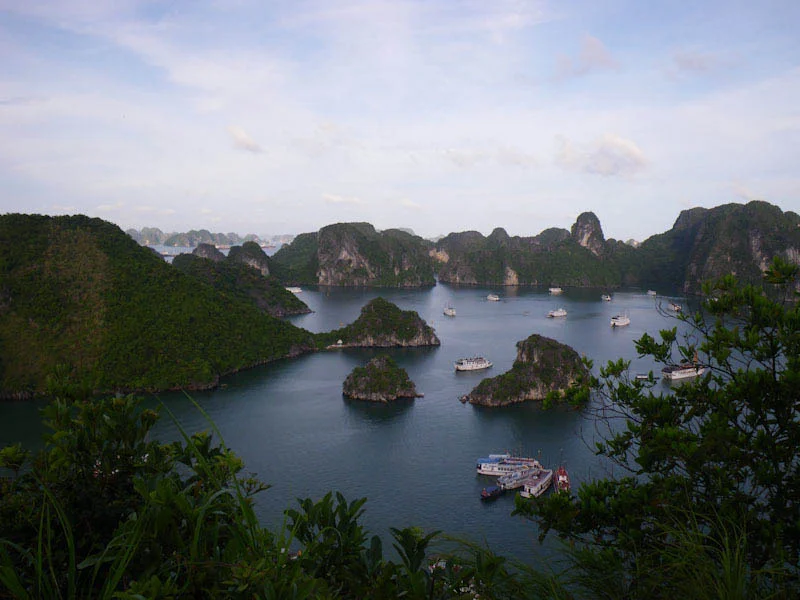 hanoihlbupload22.jpg