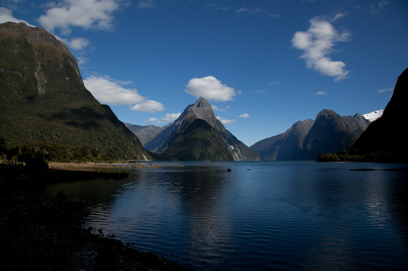 nzblogweekthree24.jpg