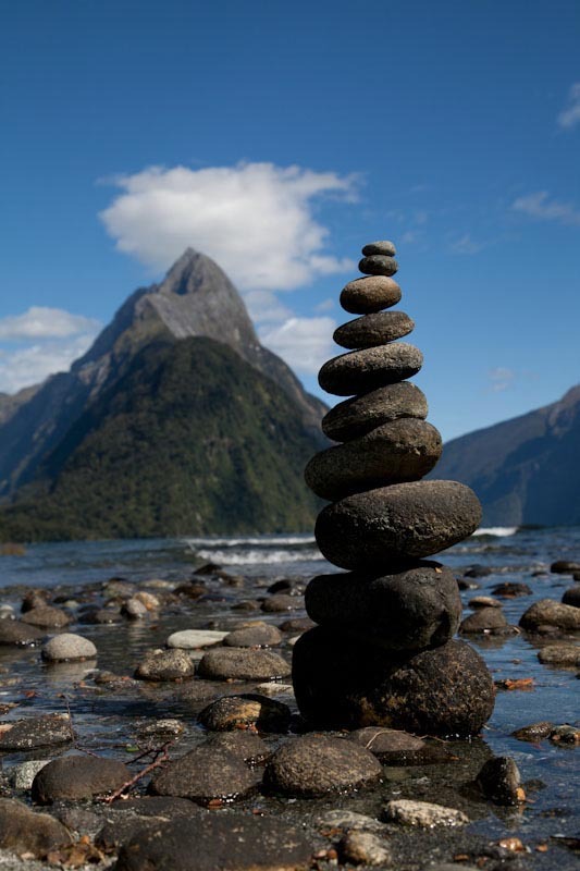 nzblogweekthree25.jpg