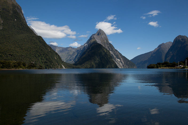 nzblogweekthree29.jpg