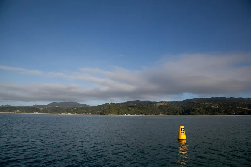 nzblogweekthree104.jpg