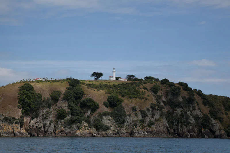 nzblogweekthree110.jpg