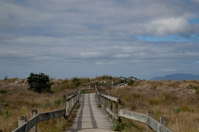 nzblogweekthree99.jpg
