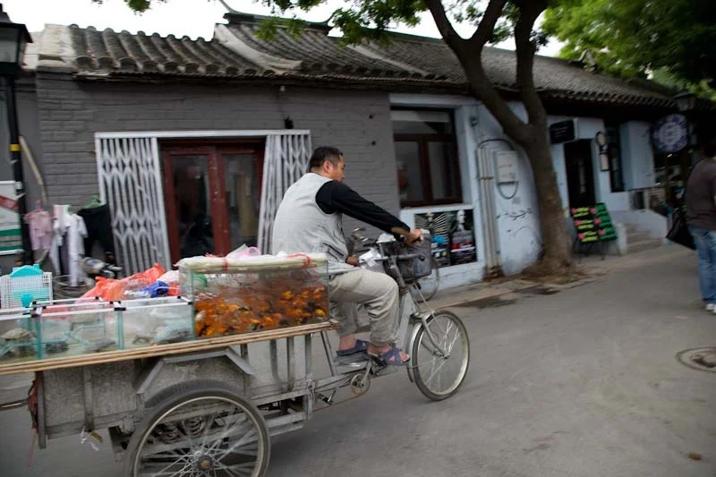 beijingblog55.jpg