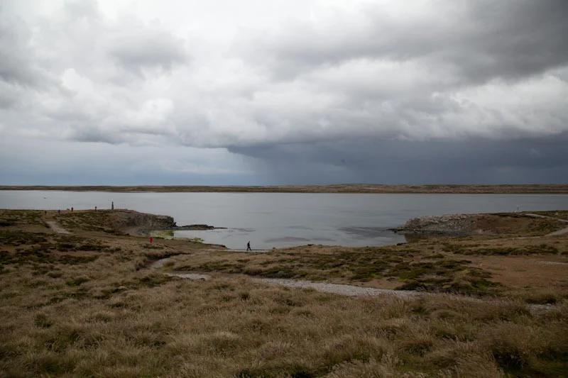 falkgeorgblog21.jpg