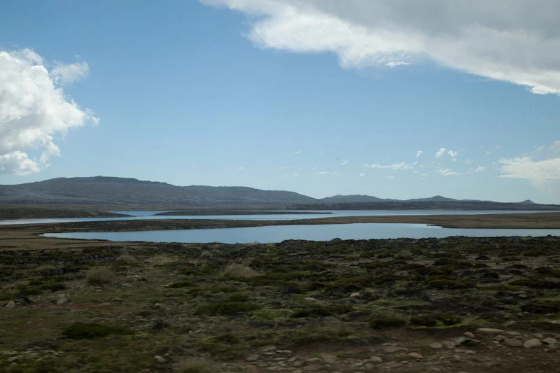 falkgeorgblog16.jpg