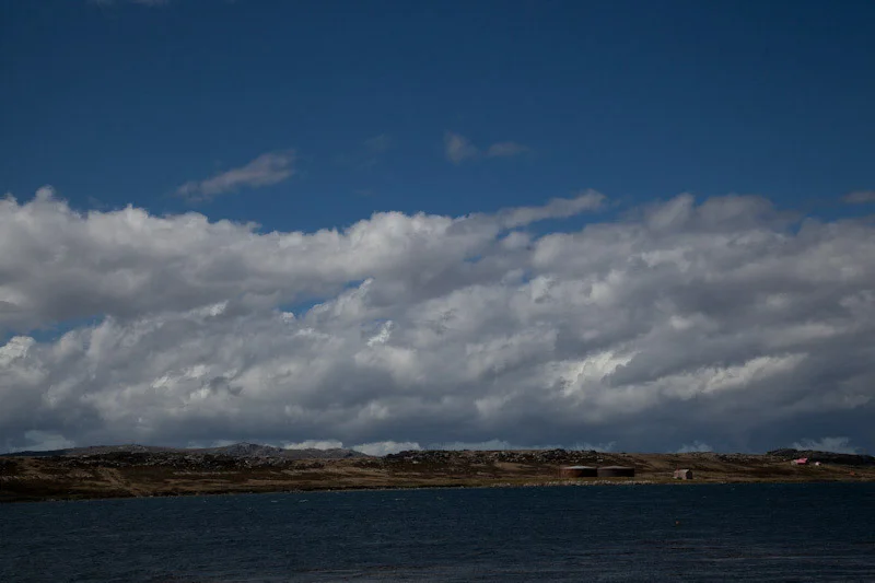 falkgeorgblog36.jpg