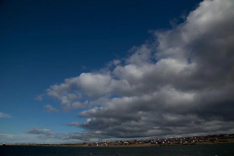 falkgeorgblog49.jpg