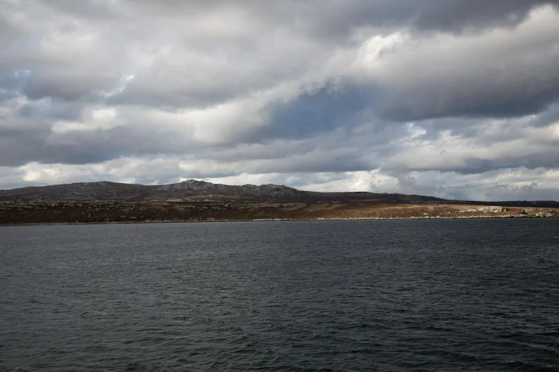 falkgeorgblog51.jpg