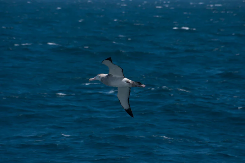 falkgeorgblog74.jpg