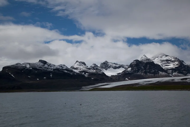 falkgeorgblog81.jpg