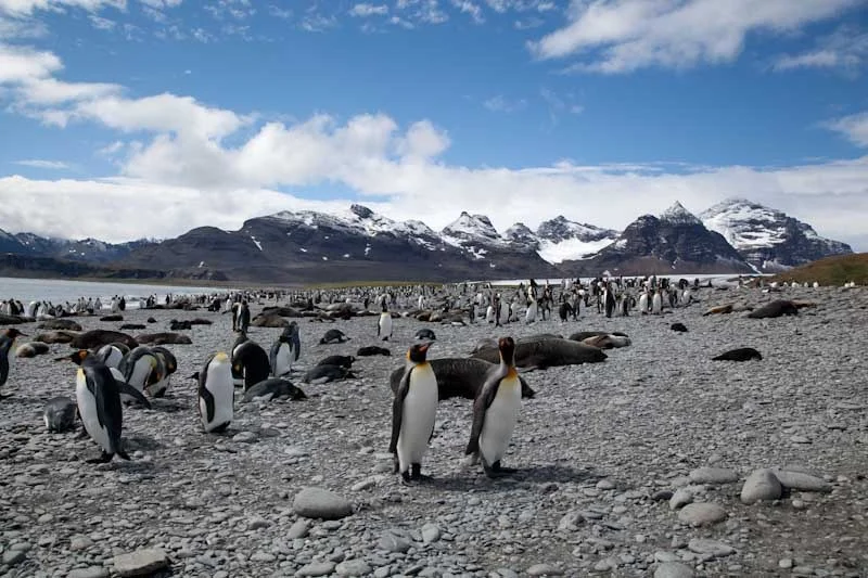 falkgeorgblog82.jpg