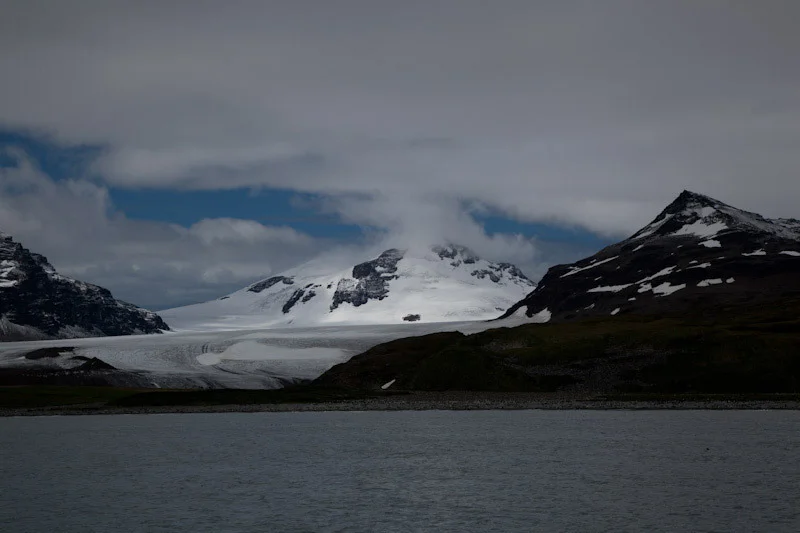 falkgeorgblog80.jpg