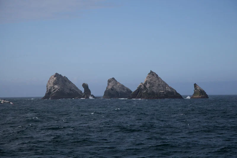 falkgeorgblog75.jpg
