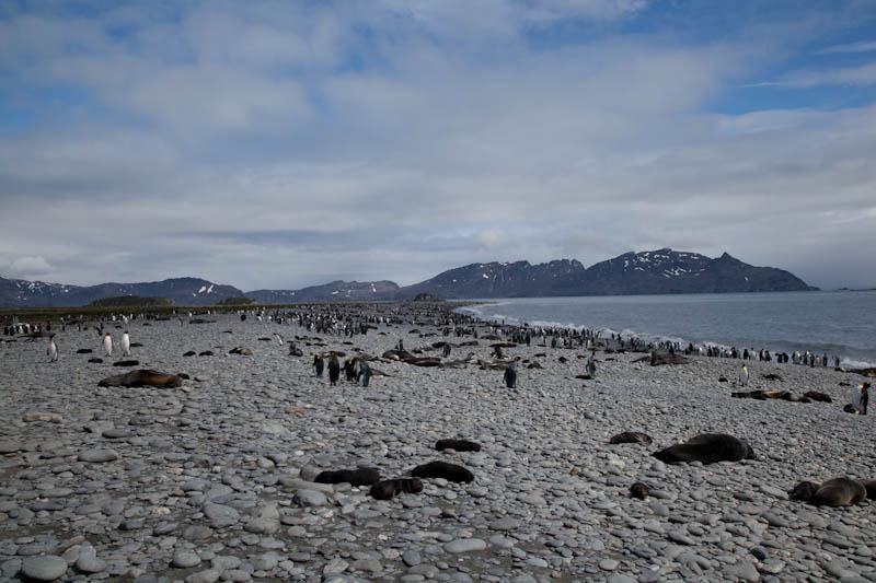 falkgeorgblog86.jpg