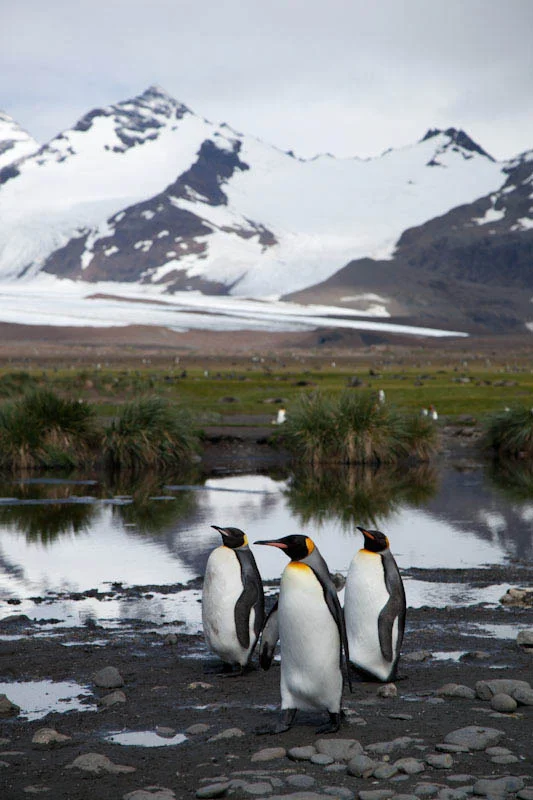 falkgeorgblog87.jpg