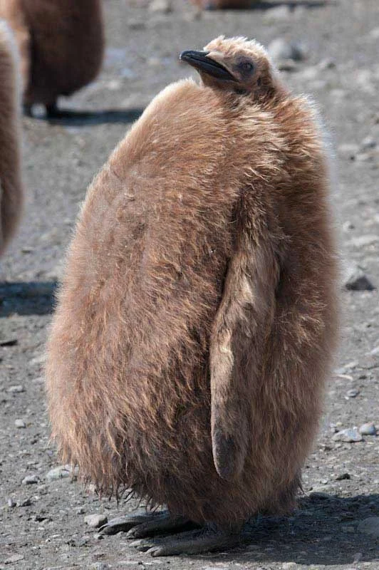 falkgeorgblog95.jpg