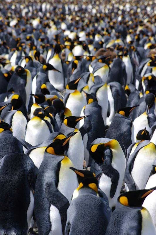 falkgeorgblog96.jpg