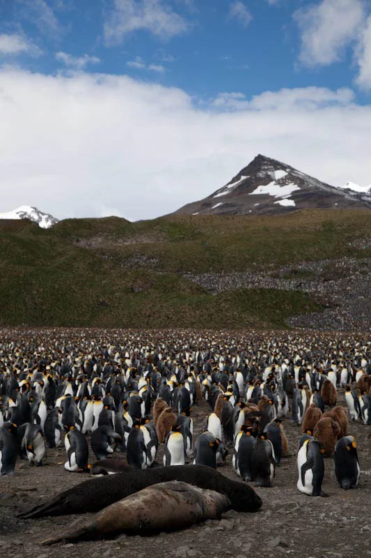 falkgeorgblog112.jpg