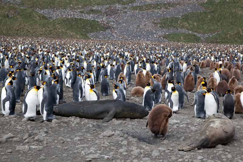 falkgeorgblog111.jpg