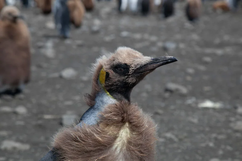 falkgeorgblog104.jpg