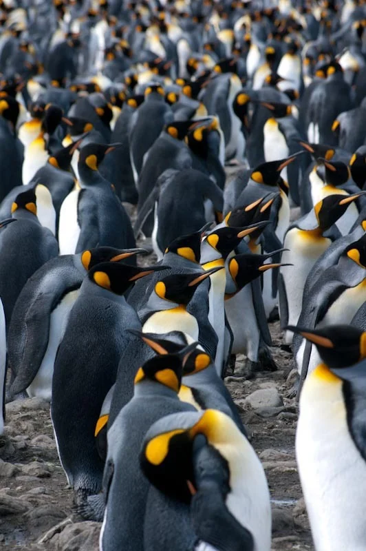 falkgeorgblog106.jpg