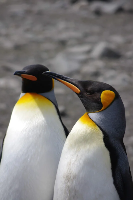 falkgeorgblog119.jpg