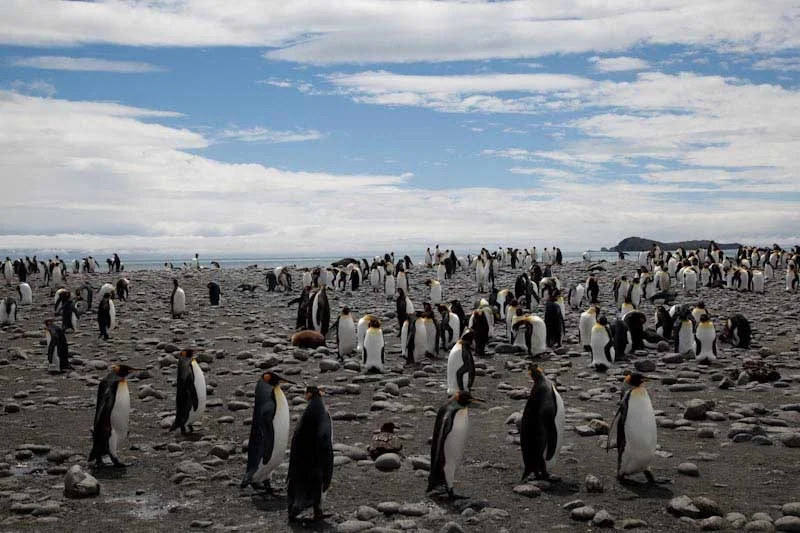falkgeorgblog120.jpg