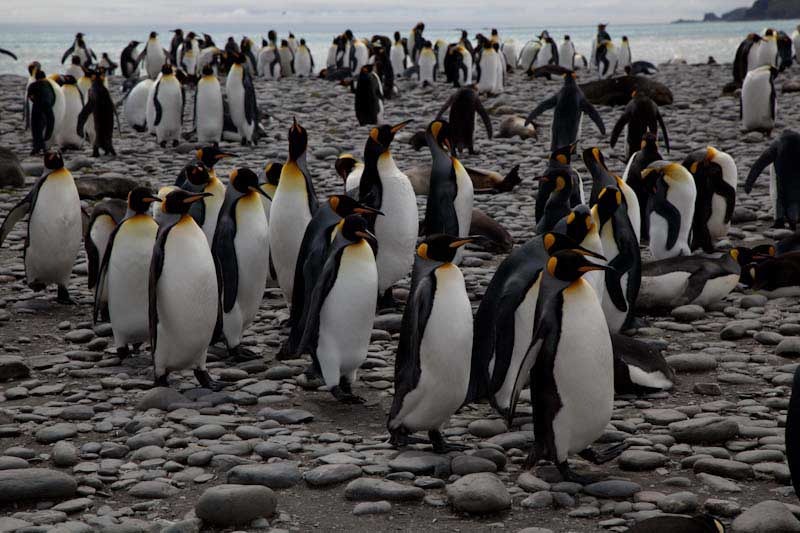 falkgeorgblog121.jpg