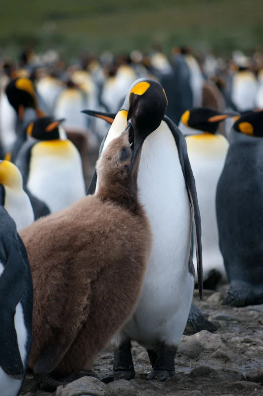 falkgeorgblog113.jpg