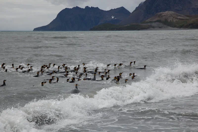 falkgeorgblog127.jpg
