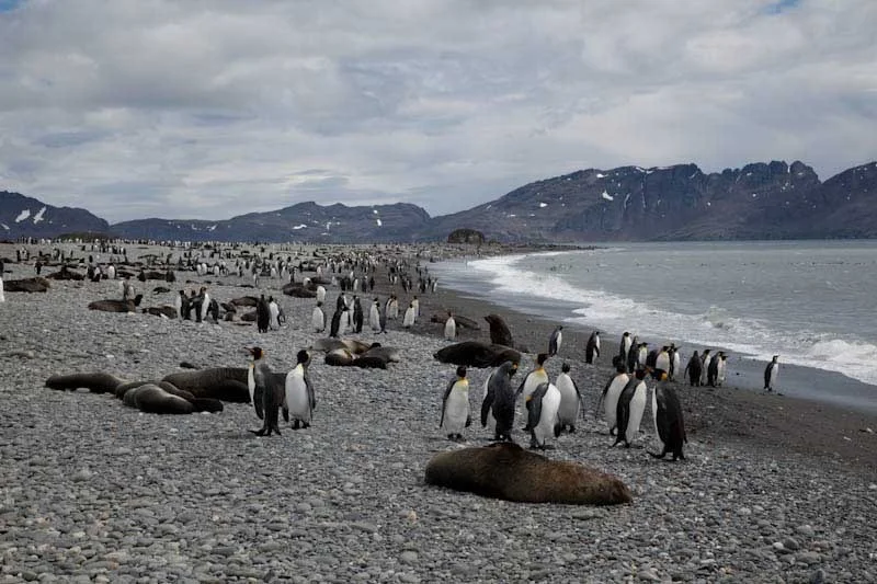 falkgeorgblog128.jpg