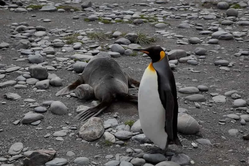 falkgeorgblog124.jpg