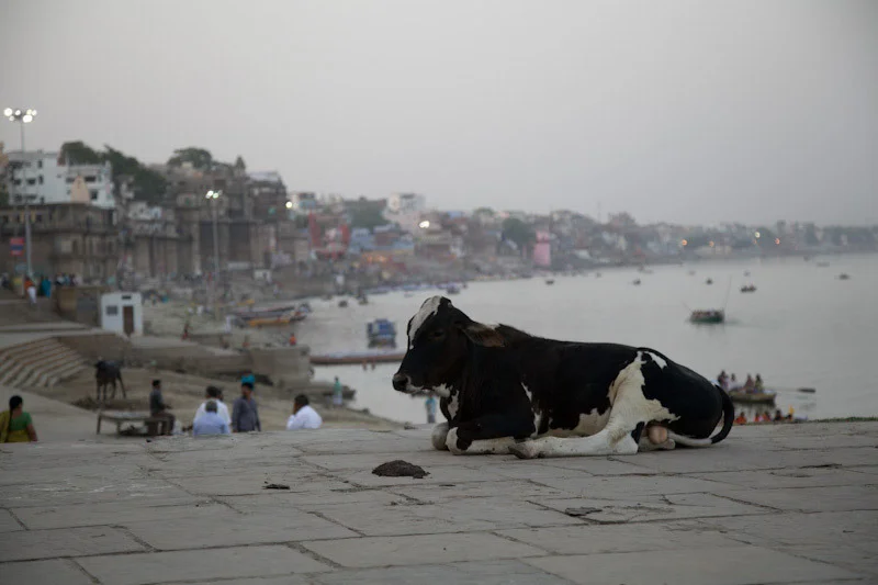 varanasidayblog44.jpg
